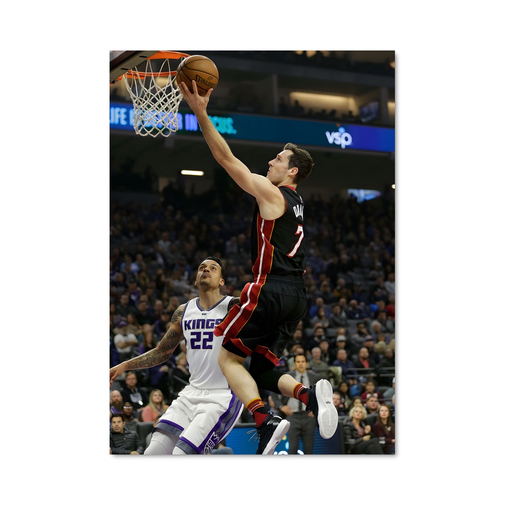 Poster Goran de dragic